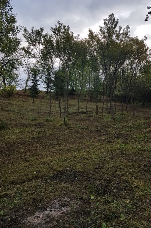 Fotografia z našej práce